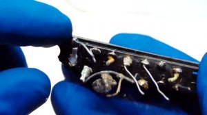 Снятие припоя с посеребренных радиодеталей