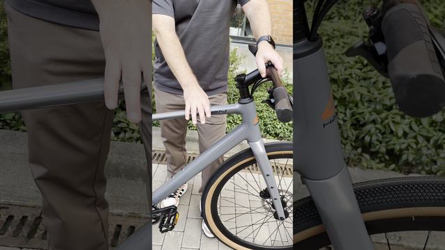 Фишки велосипеда HAGEN HG10 смотреть онлайн