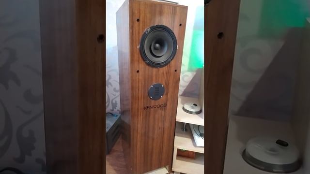 Sica в трубе войта