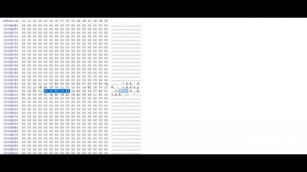 Visteon DCU 102 IMMO OFF-MANUAL EDITING IN HEX EDITOR