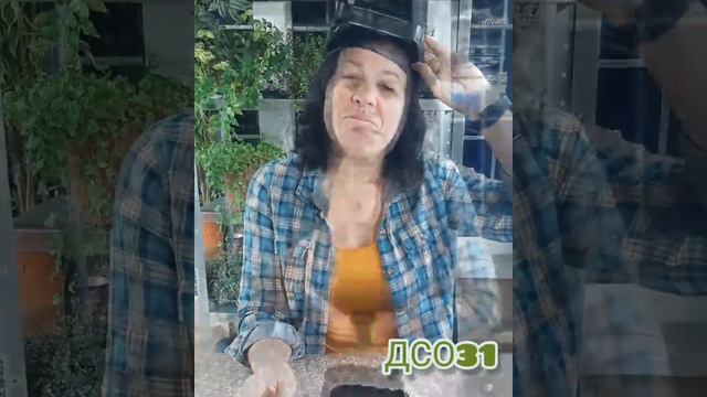 Посев петунии. Мастер-класс.  Показываю результат.