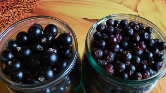 Психология и Развитие