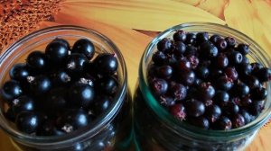Три вида компота из ИРГИ! Быстро, вкусно, полезно.