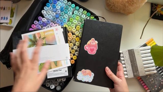 Answering Your Questions: Unboxing 216 Ohuhu Markers and Color Swatching 🌈💗 Art Supplies Haul ✨ смотреть онлайн