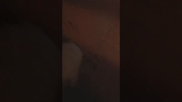 Мой кот стал огромным