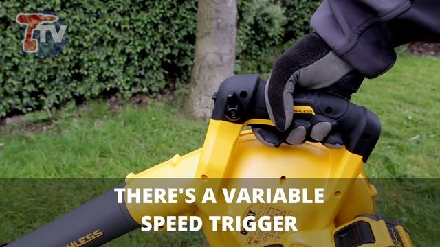 Dewalt DCM572X1 Cordless XR FlexVolt Blower - FIRST LOOK