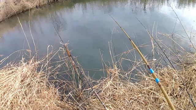 попал на жор карася рыбалка огонь смотреть онлайн