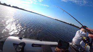 КАК ЛОВИТЬ НА ВЕРТУШКИ. ЛОВЛЯ ОКУНЯ И ЩУКИ НА ВЕРТУШКИ. ПРИМАНКИ И ПРОВОДКИ