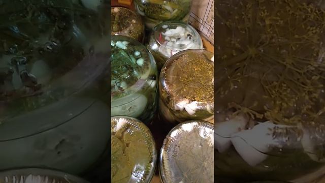 Всё, что сделали из перцев и огурцов 🥒 Многодетная мамашка (1) смотреть онлайн