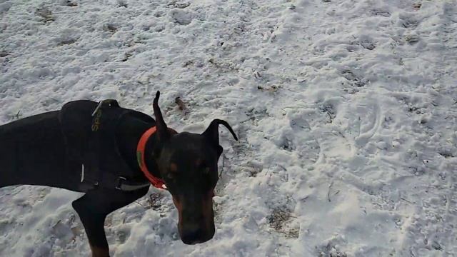 Аверс/реверс смотреть онлайн