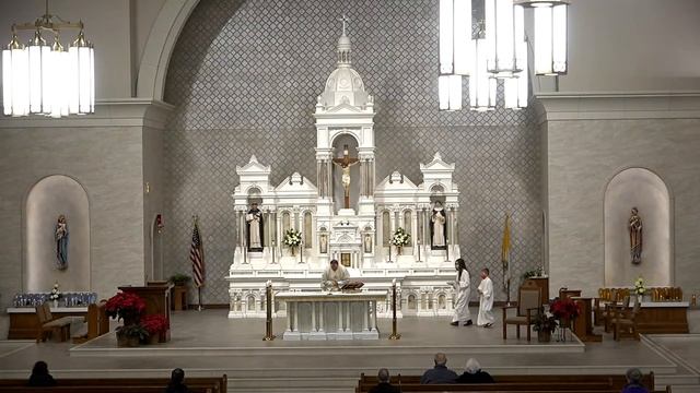 1/26/2021 Memorial of Saints Timothy and Titus, bishops смотреть онлайн
