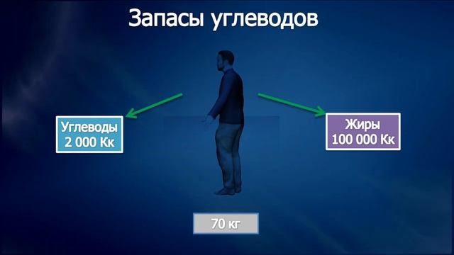 Урок 4. Углеводы как источник энергии смотреть онлайн