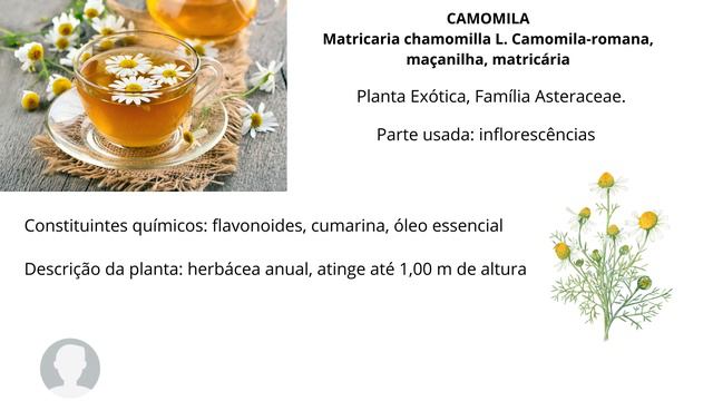 Erika Uso seguro de plantas medicinais e chá de camomila смотреть онлайн