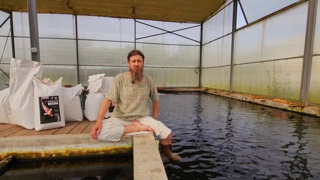 Как и где общаться с карпами кои? Планируем Место общения с кои на вашем водоёме?? смотреть онлайн