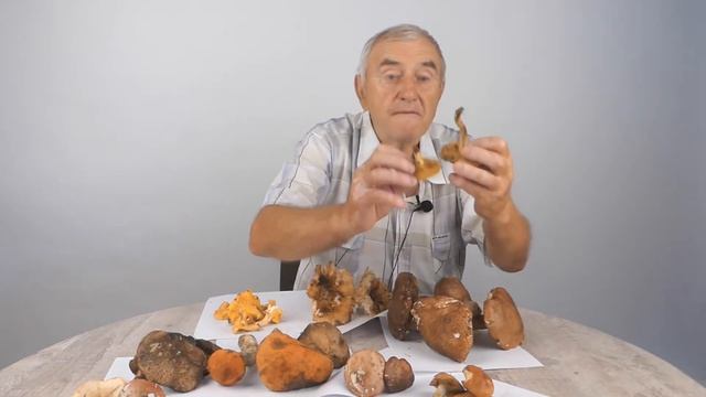 Грибы от весны до зимы. Выпуск 3: грибы в лукошке. Блог Георгия Парафенюка смотреть онлайн