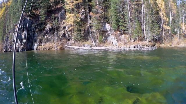 Рыбалка на хариуса на горной реке в сентябре часть 1. Pesca en el río de montaña 1 смотреть онлайн