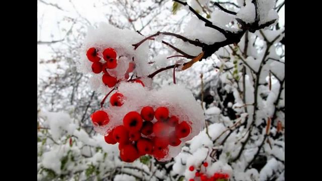 природа египта смотреть онлайн