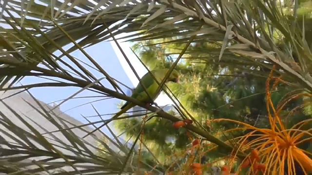 ГРЕЦИЯ ЯНВАРЬ 2019 г смотреть онлайн