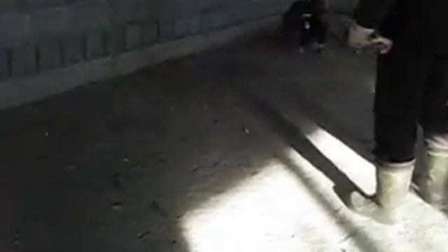 ЕНОТ смотреть онлайн