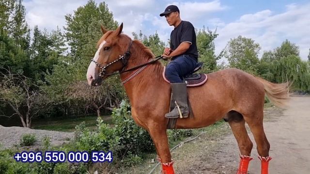 САТЫЛДЫ смотреть онлайн