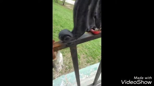 Поездка в Ярославль смотреть онлайн