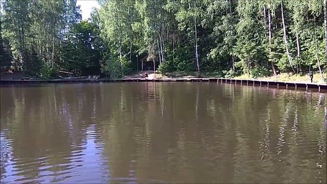 Поклёвки форели на вес золота. Клёвое место, Лосиный остров, Спорт-зона. смотреть онлайн