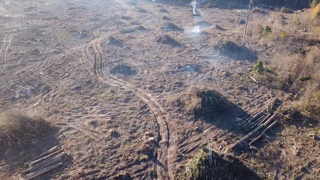 Санитарная вырубка леса. Sanitary deforestation. Moscow region. DJI Mavic Pro 4K video смотреть онлайн