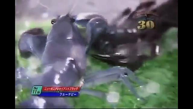 скорпион против рака Scorpion vs Cancer Scorpion gegen Krebs гороскоп рак скорпион смотреть онлайн