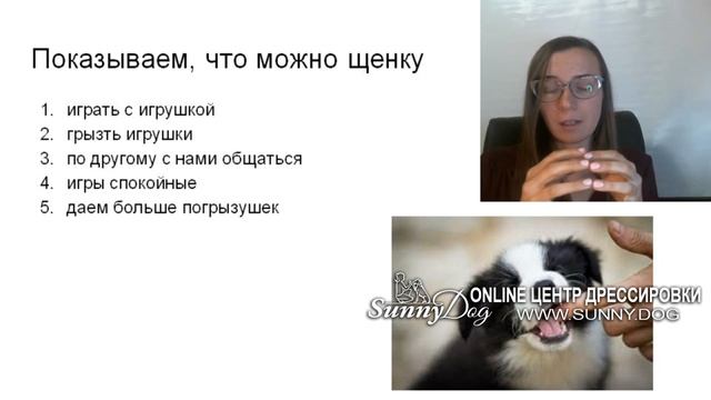 Щенок сильно кусается? что делать как отучить 2 часть - дрессировка щенка отучение кусаться смотреть онлайн