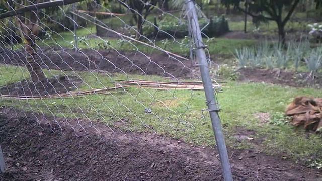 Finished Garden Rows - Ready For смотреть онлайн