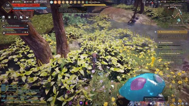 Лес Полли без Полли.Black Desert.Быстро и понятно. смотреть онлайн