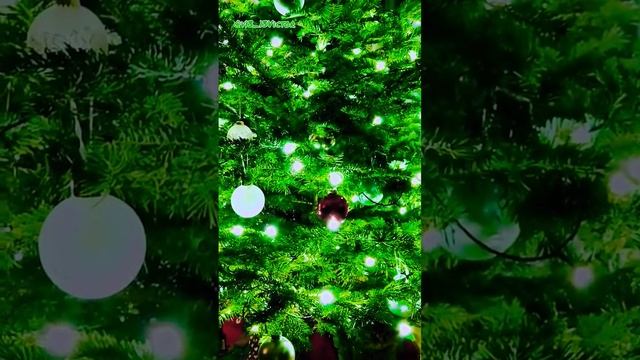 Где же он спрятался? Один из символов Нового года!!!??? смотреть онлайн