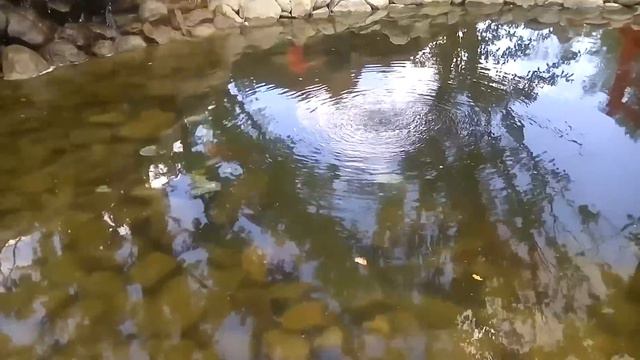 Красивый ландшафт смотреть онлайн