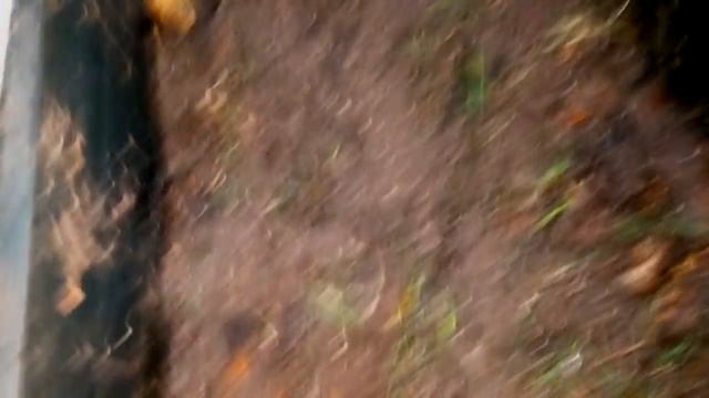 ПАН32. Один из лучших субстратов для быстрого получения живой массы червя и качественного биогумуса смотреть онлайн