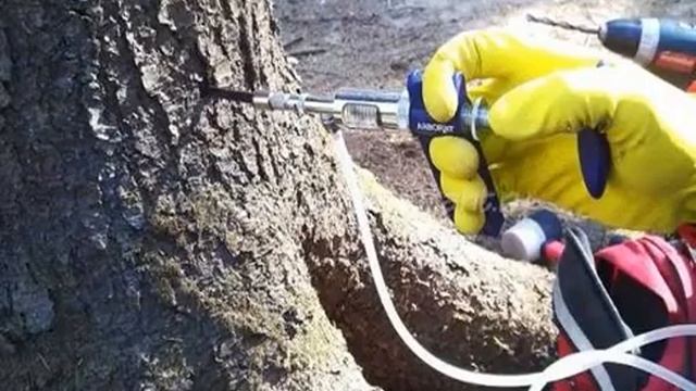 Гербициды для уничтожения кустарников и деревьев смотреть онлайн