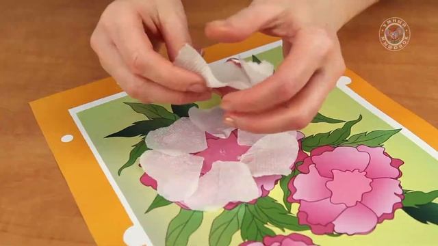 Раскрашивание. Лепка. Аппликация 6+ 11 Задание для детей "Самые красивые" смотреть онлайн