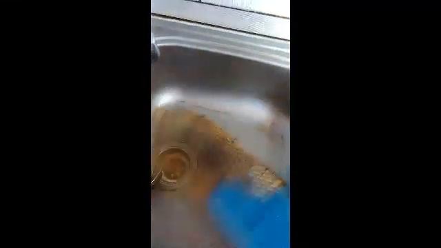 Коновал Галина Николаевна, Краснодарский край ВИДЕООТЗЫВ БЕЛЫЙ КОТ СИБИРЬ смотреть онлайн