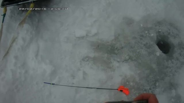Фрагмент. Зимняя рыбалка на озере в Валдайском районе 22.02.2016 смотреть онлайн