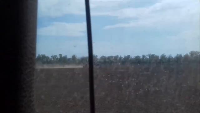 СЕВ ГОРЧИЦЫ 2018. Крокодилом 1221. смотреть онлайн