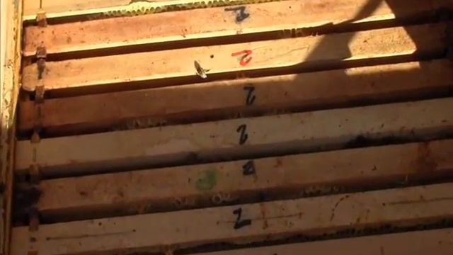 Priprema i rad sa oksalnom kiselinom смотреть онлайн
