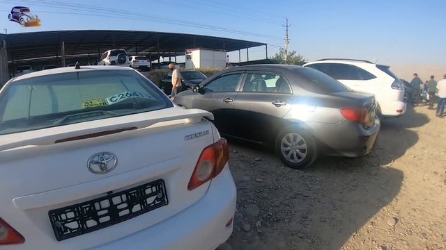 Мошинбозори Душанбе!!! 08 09 2020 Нархи Toyota Land Cruiser, Lexus Rx330, Toyota Corolla, BMW смотреть онлайн
