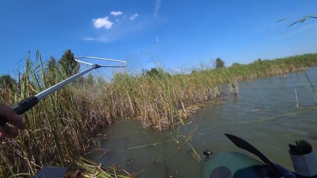 КАРП НА ПОПЛАВОК РЫБАЛКА В КАМЫШАХ смотреть онлайн