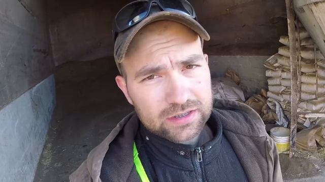 Чем кормим коров на ферме в Канаде. Рабочий день на ферме смотреть онлайн
