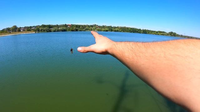 ШОК! ВЯЗКА СОБАК / Щенок против Папы Маламута смотреть онлайн
