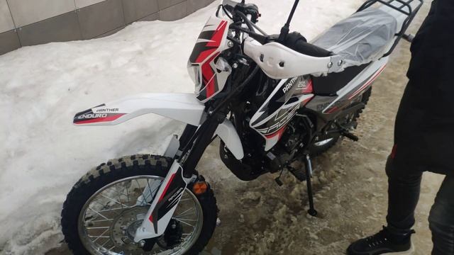 Покупка racer panther 250 2020 смотреть онлайн