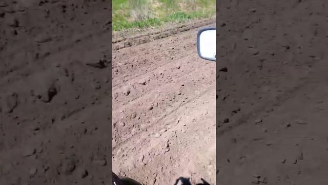 ПОСАДКА КАРТОФЕЛЯ 11 МАЯ 2021 г смотреть онлайн