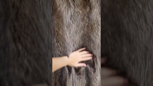 Шуба из енота смотреть онлайн