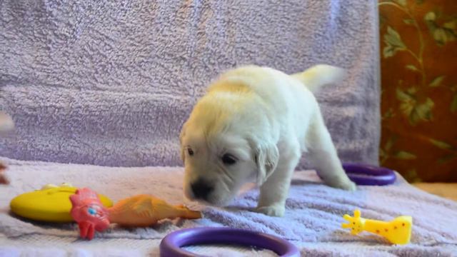 Адрес сайта чуть ниже!) Девочка, красная лента смотреть онлайн