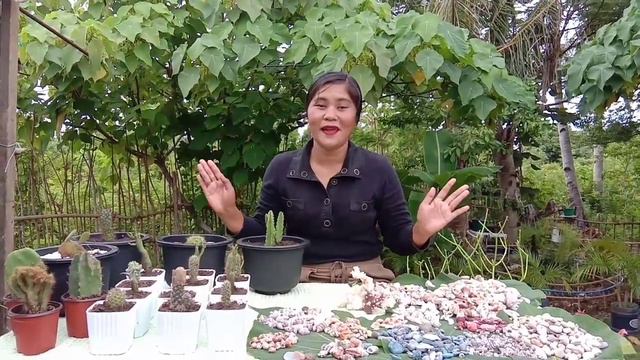 DIY Colorful Pebbles for Pot Cactus/How to design pebbles/shells into beautiful and colorful смотреть онлайн