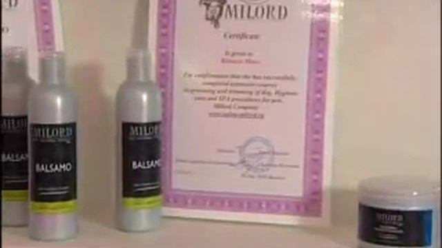 SALON STRIJKY.wmv смотреть онлайн